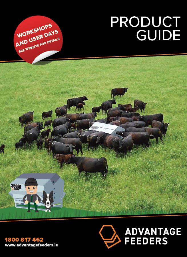 beef_sheep-front-cover