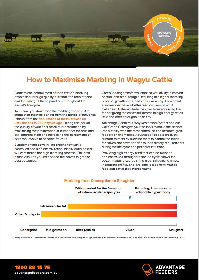 How to Maximise Marbling