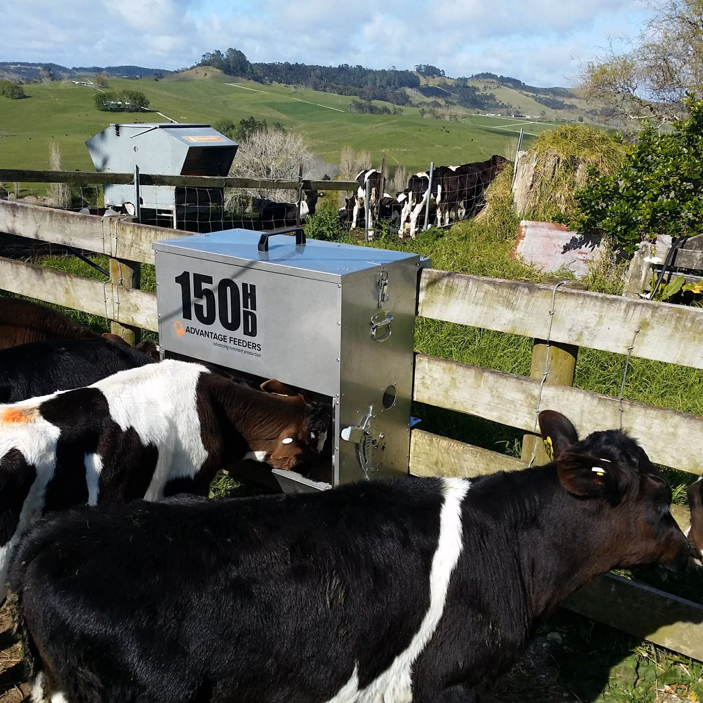 150HD Meal Feeder - Image 3