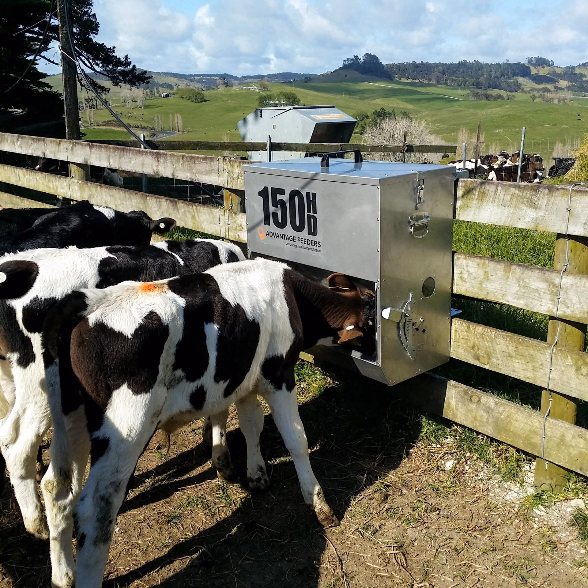 150HD Meal Feeder - Image 4