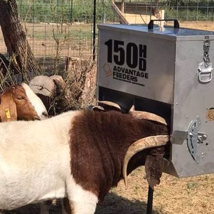 150HD Meal Feeder - Image 2