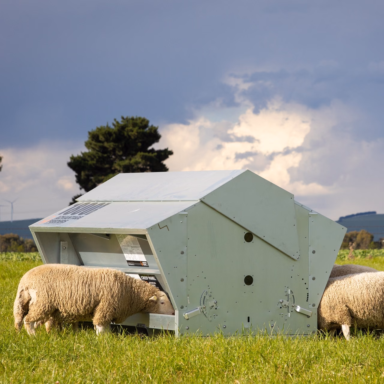 1800HD Meal Feeder - Image 4