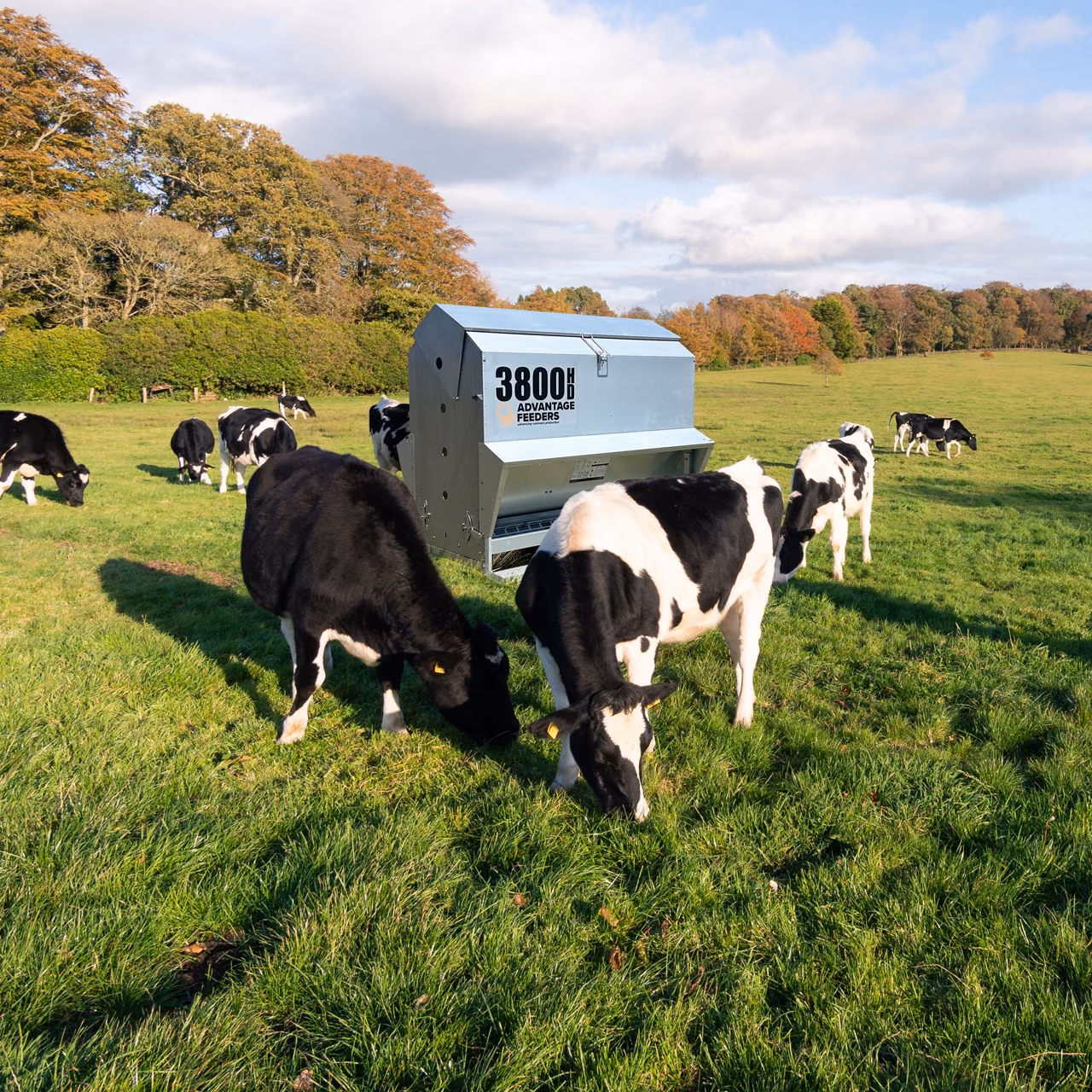 3800HD Meal Feeder - Image 3