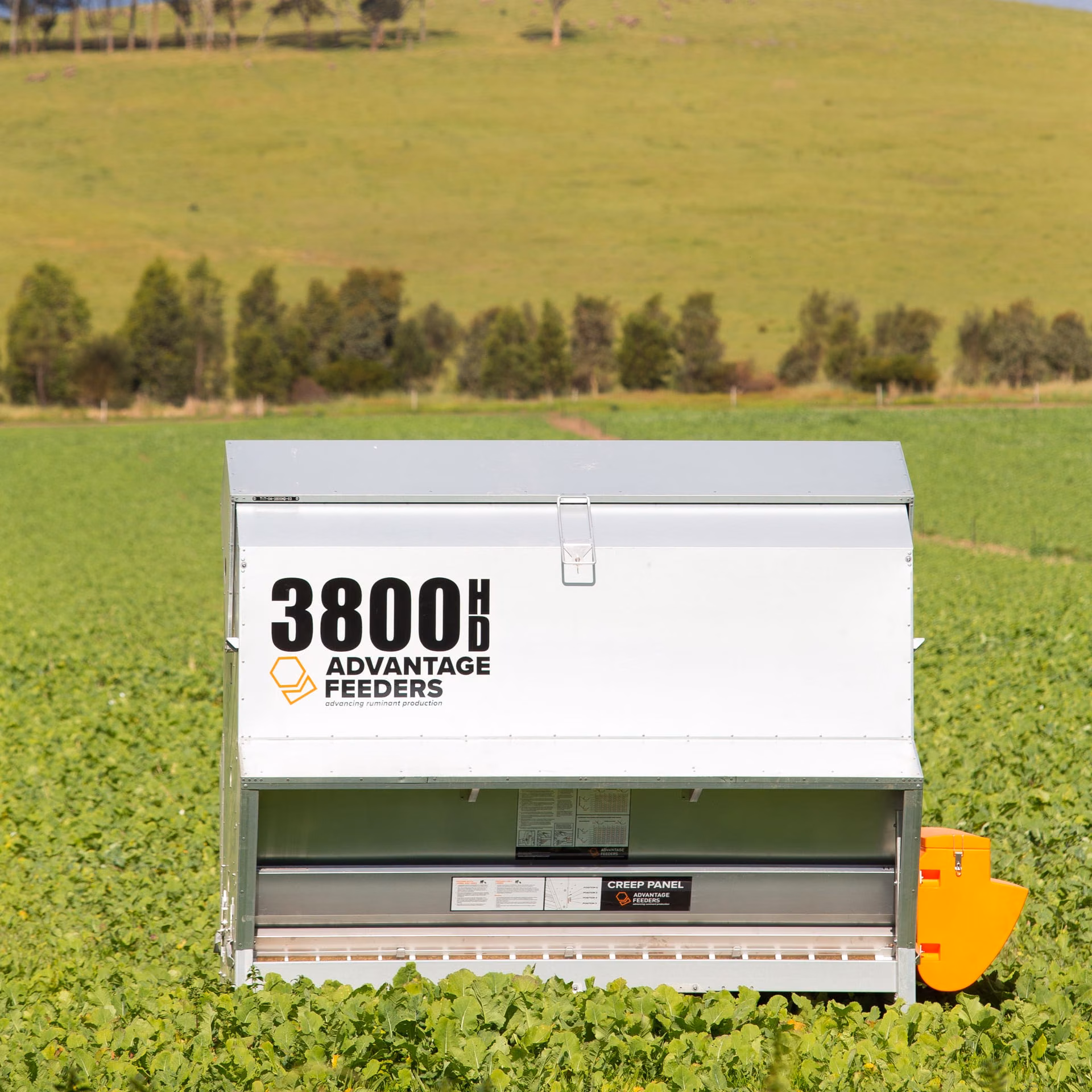 3800HD Meal Feeder - Image 4