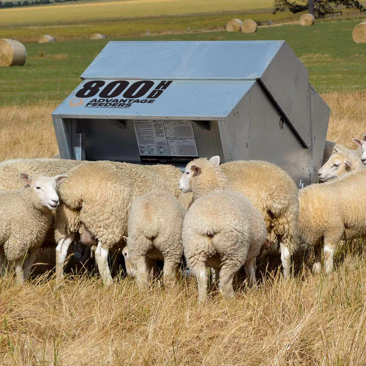 800HD Meal Feeder - Image 2