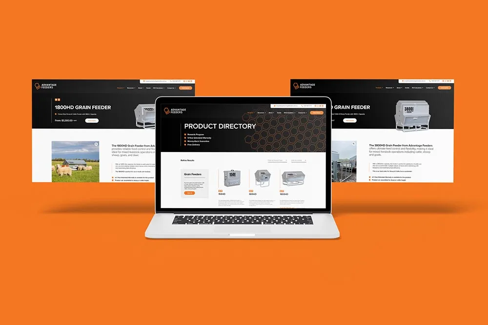 Website Launch